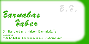 barnabas haber business card